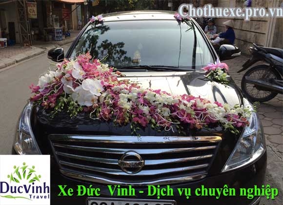 HOA CƯỚI MÃ : XH 041