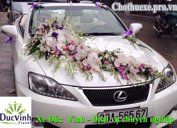 HOA CƯỚI MÃ : XH 069