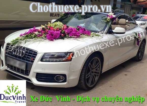 Cho thuê xe cưới màu trắng Audi A5