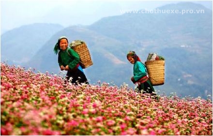 Cho thuê xe đi Hà Giang từ Hà Nội Cho thuê xe đi Hà Giang 1