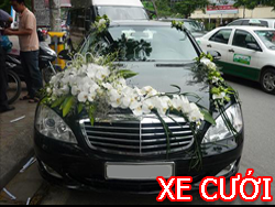 XE CƯỚI