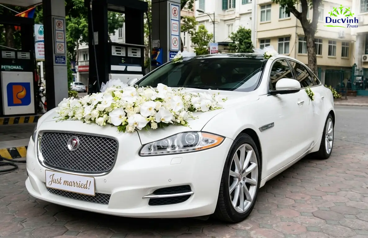 Cho Thuê Xe Cưới Jaguar XJL Hạng Sang