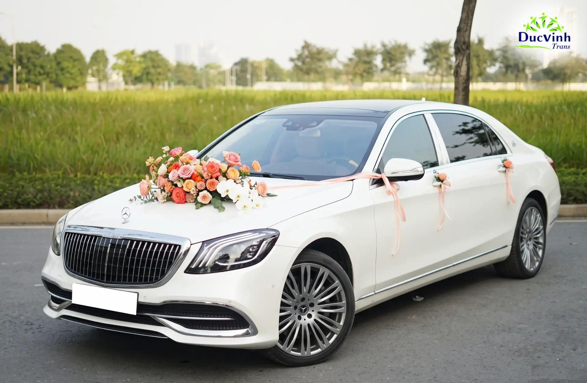 Cho Thuê Xe Cưới Mercedes S Sang Trọng